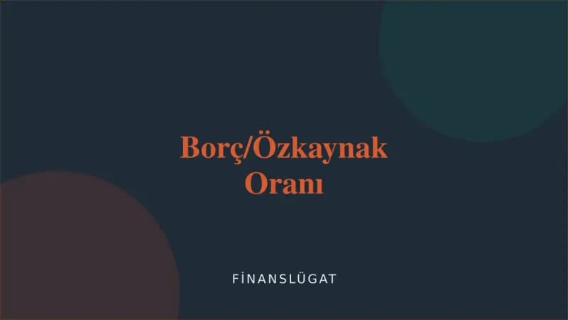 Borç/Özkaynak Oranı — Finanslügat kapak görseli