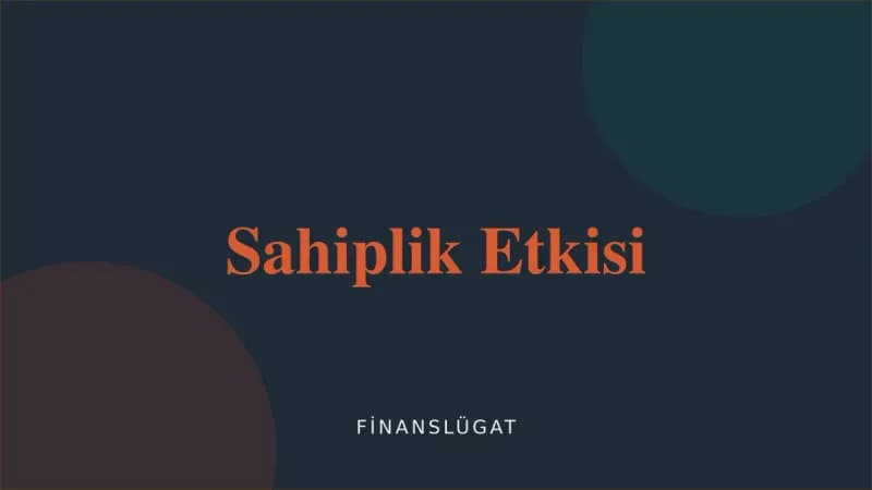 Sahiplik Etkisi — Finanslügat kapak görseli