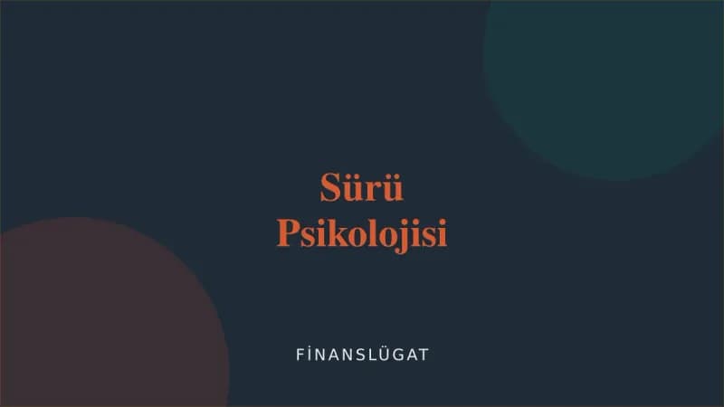 Sürü Psikolojisi — Finanslügat kapak görseli